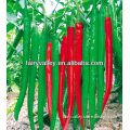Deep Green Thin And Long Hot Chili Pepper Seeds For Planting